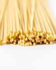 Spaghettoni Quadrati - Carnivale